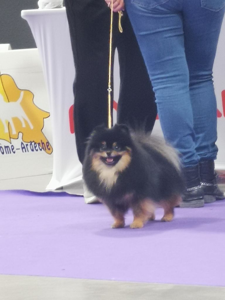 crazy charms S'yeontan dit sharly